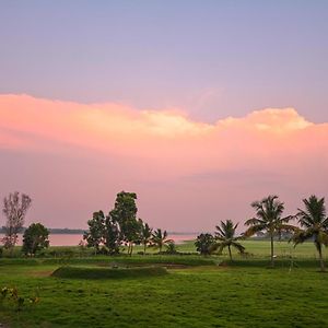 Fireflies Kabini